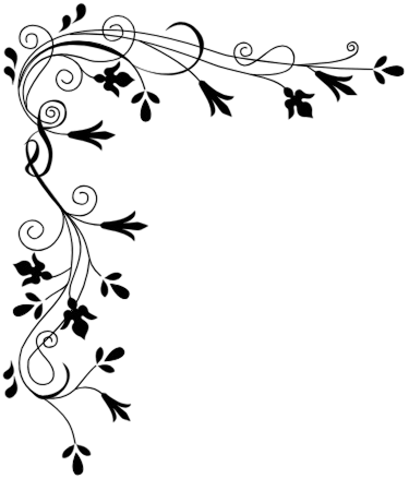 Your Image Alt Text